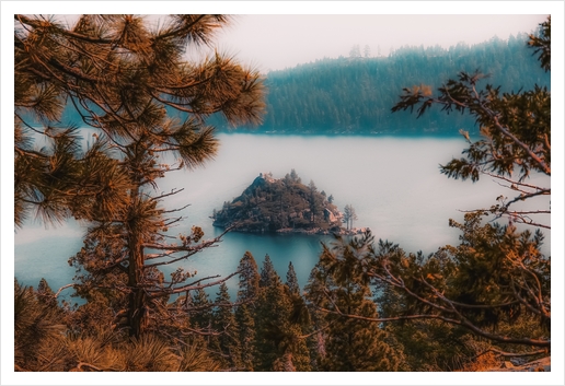 Pine tree and island at Emerald Bay Lake Tahoe California USA Art Print by Timmy333