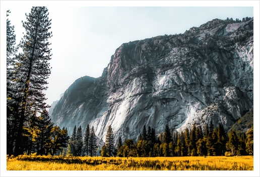 Mountains view at Yosemite national park, California, USA Art Print by Timmy333