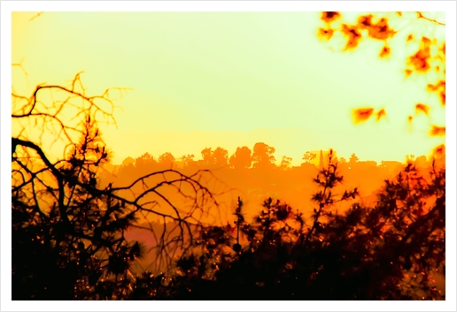 sunset sky in summer with silhouette view at Los Angeles, USA Art Print by Timmy333