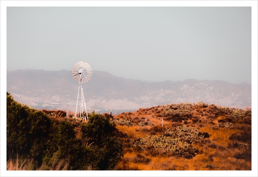 windmill and green cactus garden with mountain view and blue sky Art Print by Timmy333