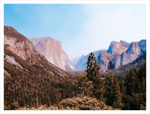 At Yosemite national park USA Art Print by Timmy333