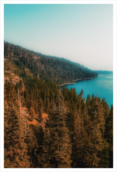 pine tree and lake at Emerald Bay Lake Tahoe California USA Art Print by Timmy333