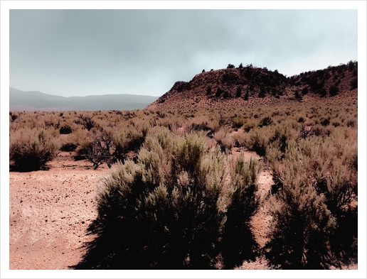 Desert scenic with foggy blue sky in California USA Art Print by Timmy333