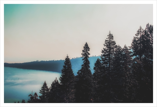 pine tree and lake at Emerald Bay Lake Tahoe California USA Art Print by Timmy333