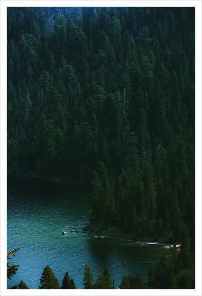 green pine tree and blue water at Emerald Bay Lake Tahoe California USA Art Print by Timmy333