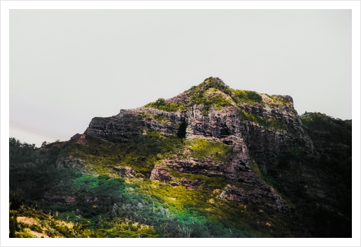 green tropical mountain view at Kauai, Hawaii, USA Art Print by Timmy333