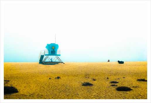 sandy beach at Point Mugu beach, California, USA Art Print by Timmy333