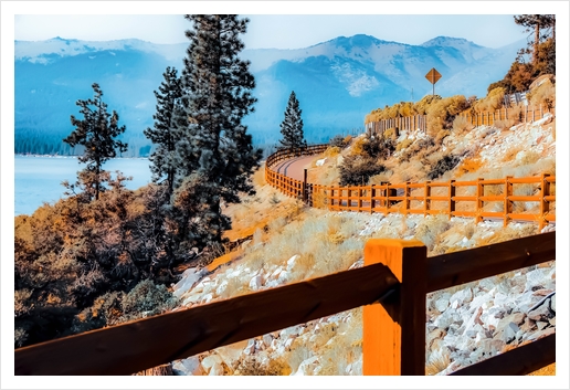 walkway with pine tree and mountains view at Lake Tahoe, Nevada, USA Art Print by Timmy333