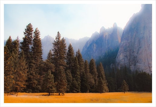 pine tree with mountain background at Yosemite national park California USA Art Print by Timmy333