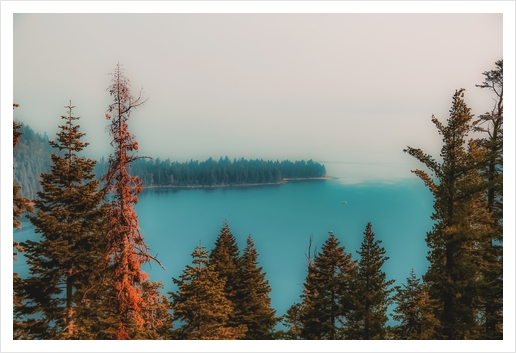 pine tree and lake at Emerald Bay Lake Tahoe California USA Art Print by Timmy333