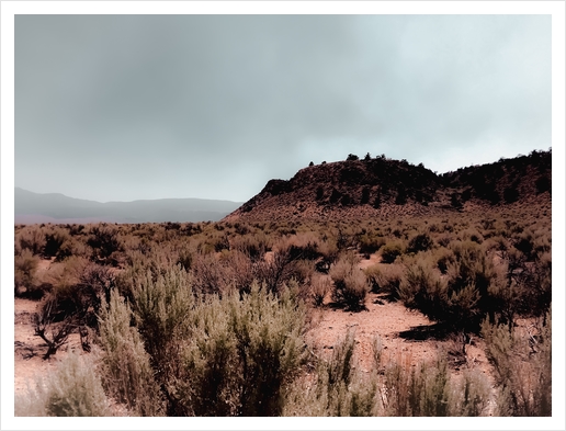 Desert view with foggy blue sky in California USA Art Print by Timmy333