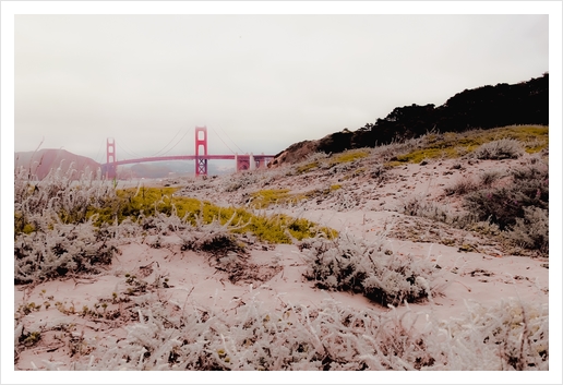 At Golden Gate bridge San Francisco California USA Art Print by Timmy333