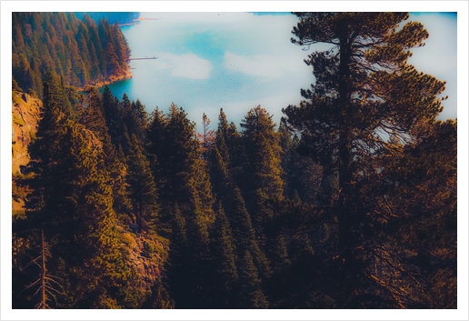 Lake and pine tree at Emerald Bay Lake Tahoe California USA Art Print by Timmy333