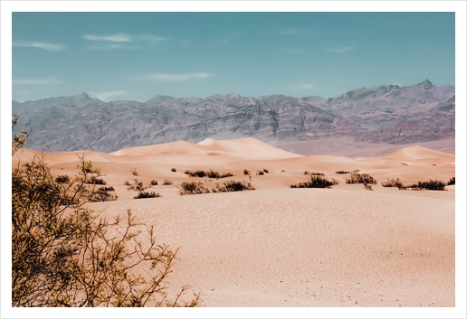 Sandy desert with mountain background at Death Valley national park California USA Art Print by Timmy333