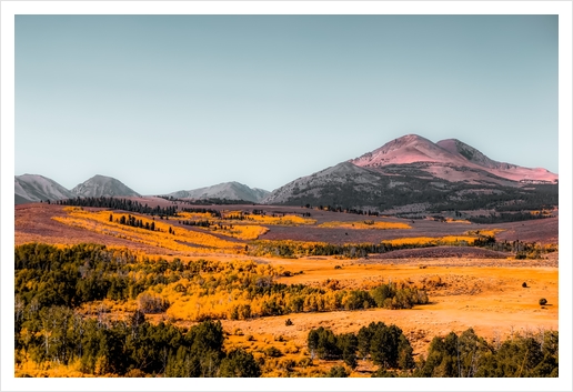 autumn landscape with mountain view and blue sky in California USA Art Print by Timmy333