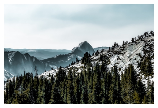 Mountains with pine tree at Yosemite national park, California, USA Art Print by Timmy333