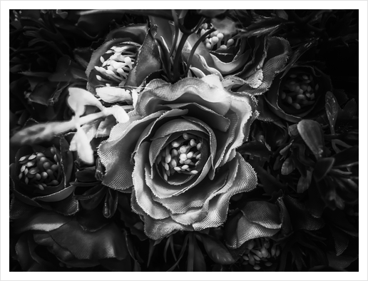 closeup roses texture background in black and white Art Print by Timmy333