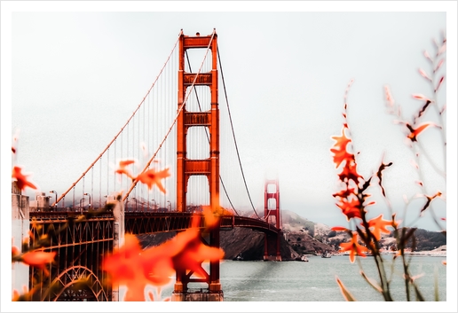 At Golden Gate Bridge, San Francisco, California, USA Art Print by Timmy333