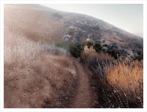 walkway with mountain view and dry grass field Art Print by Timmy333