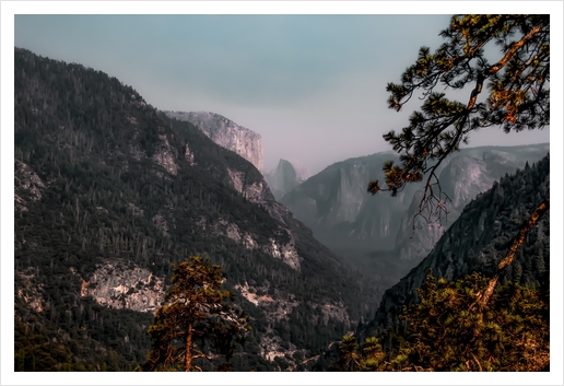 mountain in the forest at Yosemite national park California USA Art Print by Timmy333