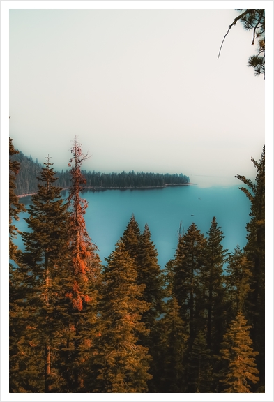 pine tree and lake scenic at Emerald Bay Lake Tahoe California USA Art Print by Timmy333