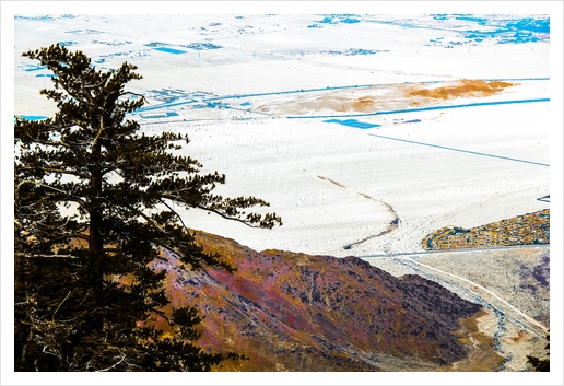 desert view from the mountain at Palm Springs California USA Art Print by Timmy333