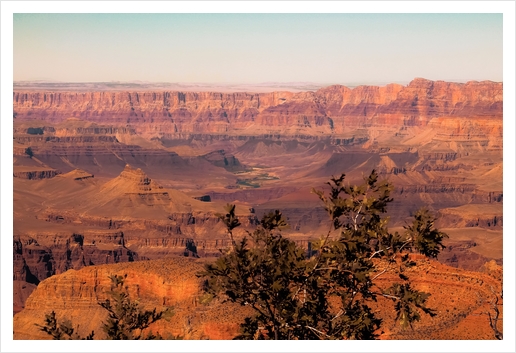 Desert in summer at Grand Canyon national park USA Art Print by Timmy333