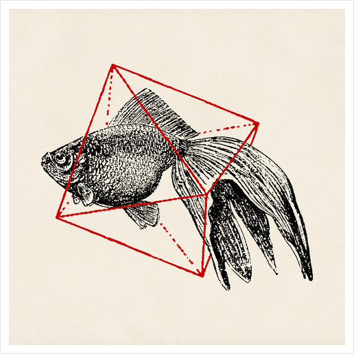 Fish In Geometrics III Art Print by Florent Bodart - Speakerine