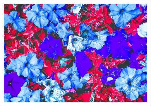 closeup flower texture abstract in blue purple red Art Print by Timmy333