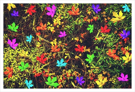 maple leaf in blue red green yellow pink orange with green creepers plants background Art Print by Timmy333