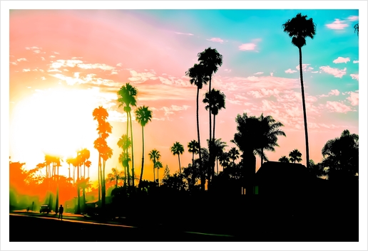 beach summer sunset with palm tree and blue sky Art Print by Timmy333