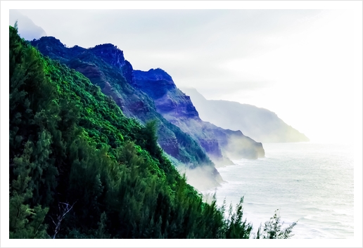 green mountain with ocean view at Kauai, Hawaii, USA Art Print by Timmy333