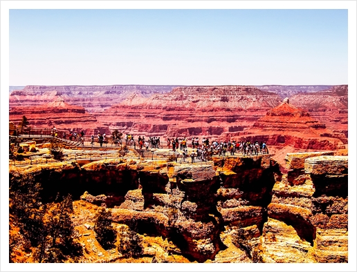 Desert in summer at Grand Canyon national park, USA Art Print by Timmy333