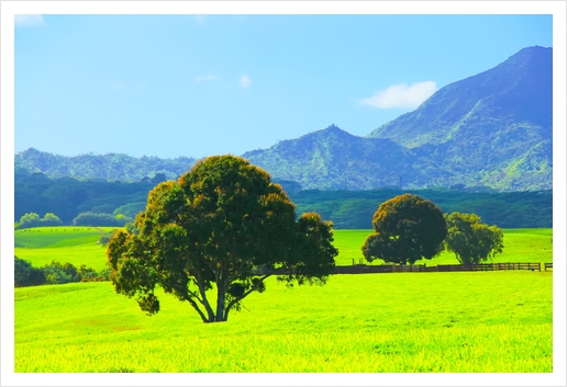 green tree in the green field with green mountain and blue sky background Art Print by Timmy333