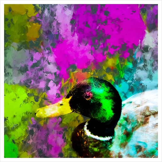 mallard duck with pink blue green yellow painting abstract background Art Print by Timmy333