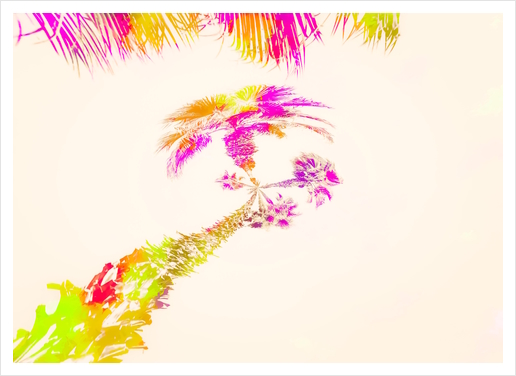 palm tree over the sky in pink purple green yellow Art Print by Timmy333