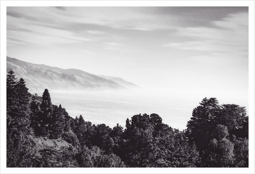 Beautiful ocean view with forest front view at Big Sur, California, USA in black and white Art Print by Timmy333