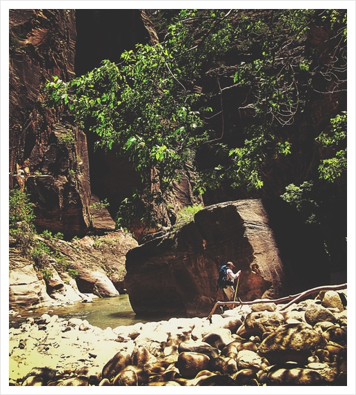 Hiking in the forest at Zion national park, USA Art Print by Timmy333