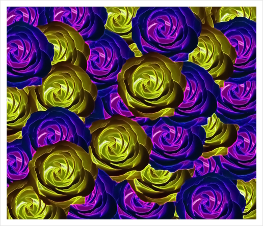 blooming rose texture pattern abstract background in pink purple yellow Art Print by Timmy333