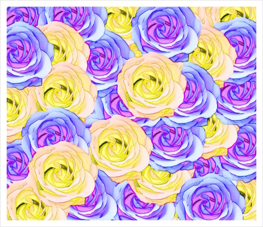 blooming rose texture pattern abstract background in yellow and pink Art Print by Timmy333