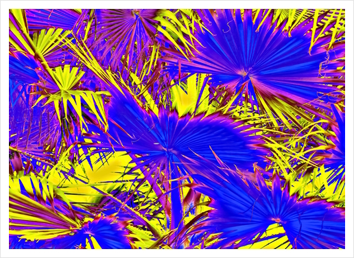 closeup palm leaf texture abstract background in blue pink and yellow Art Print by Timmy333