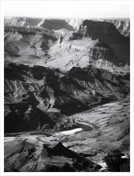 Desert at Grand Canyon national park, USA in black and white Art Print by Timmy333