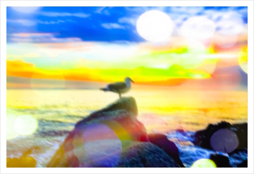 bird on the stone with the summer beach sunset background Art Print by Timmy333