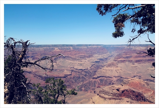 desert at Grand Canyon national park, USA in summer Art Print by Timmy333