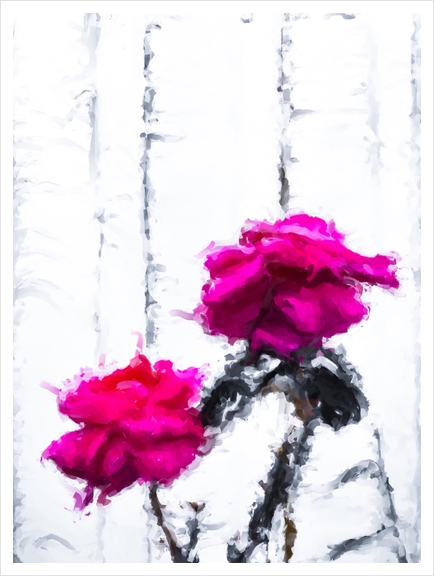 red roses with white wood background Art Print by Timmy333