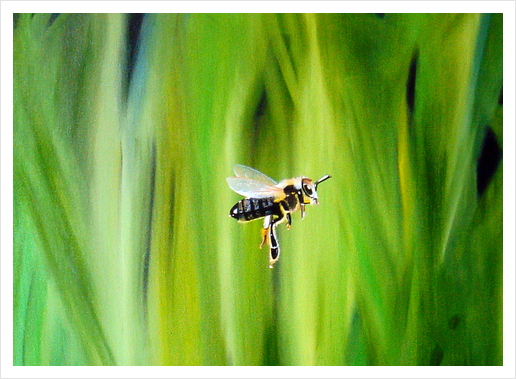 L'abeille Art Print by Kapoudjian