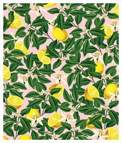 Lemonade Art Print by Uma Gokhale