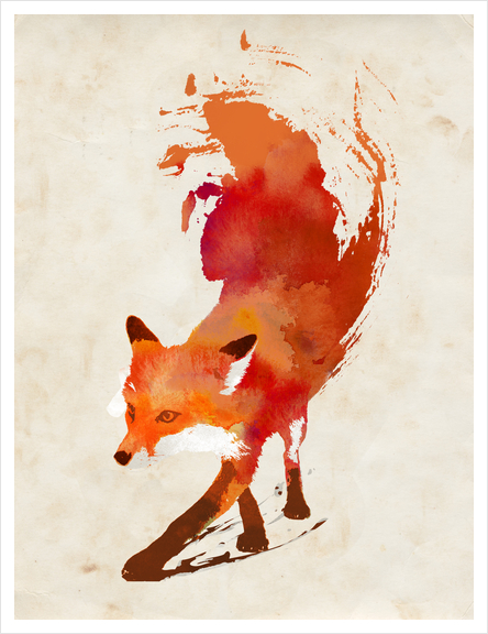 Vulpes Vulpes Art Print by Robert Farkas