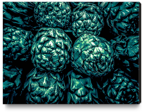 closeup green artichoke texture background Canvas Print by Timmy333