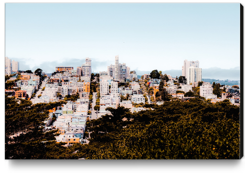 City view with blue sky at San Francisco California USA  Canvas Print by Timmy333